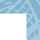 Skelmersdale Plus Public Services